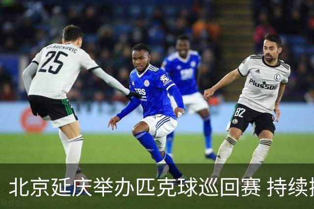 北京延庆举办匹克球巡回赛 持续擦亮户外运动城市名片